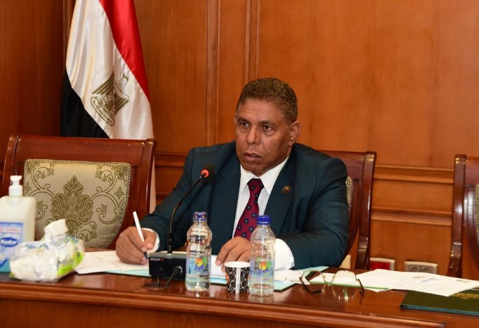  النائب سيد عوض