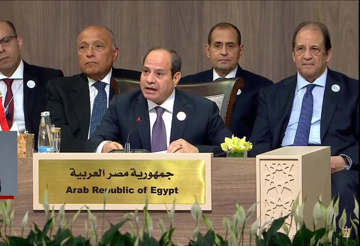 الرئيس عبد الفتاح السيسي 
