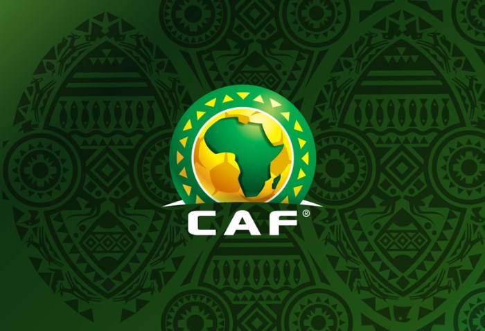 الاتحاد الإفريقي 