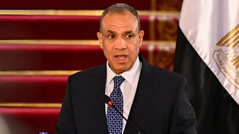 وزير الخارجية عبد العاطي