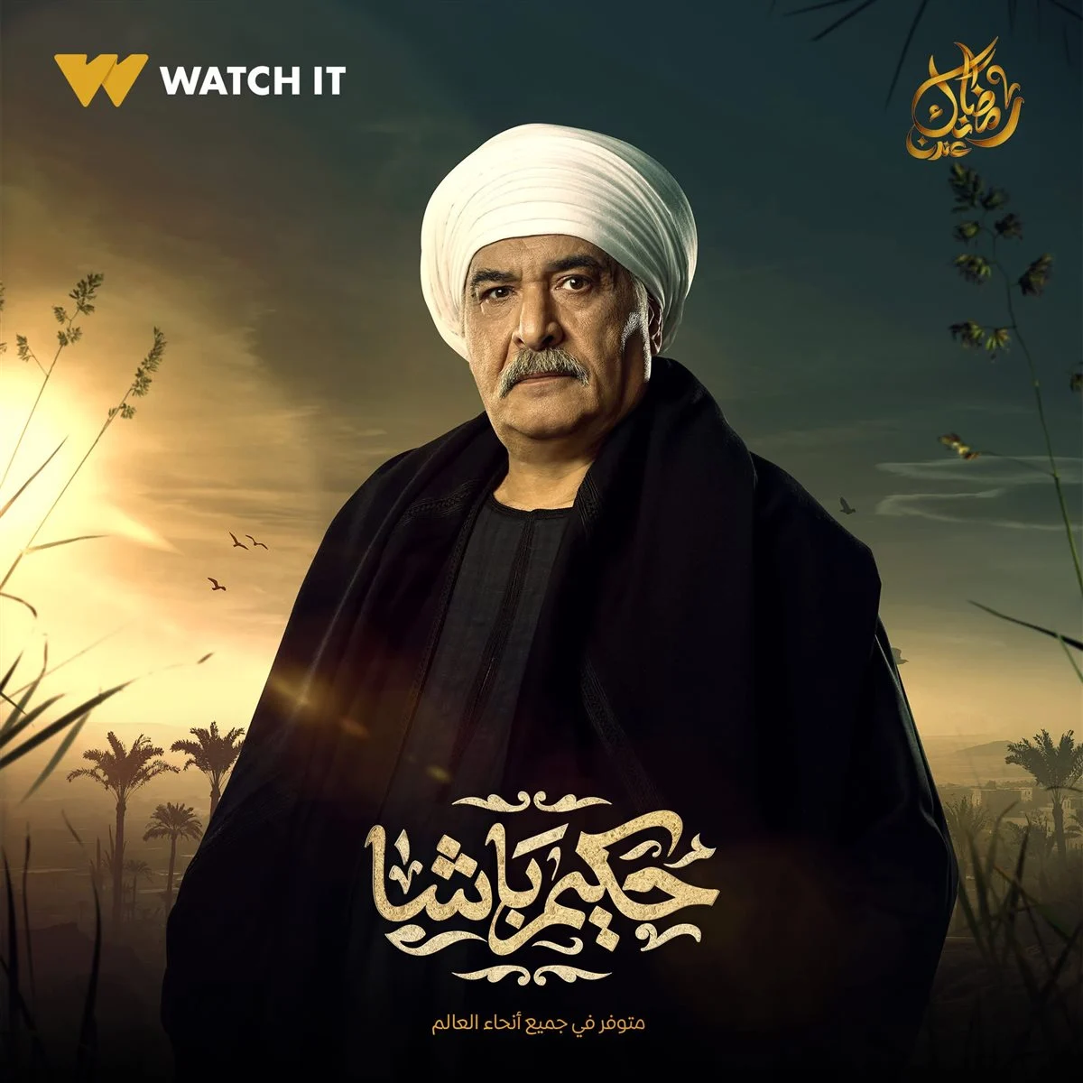 بوستر مسلسل حكيم باشا