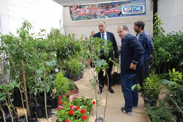 معرض زهور الربيع