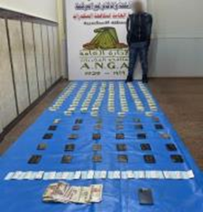 مضبوطات عناصر المخدرات في الاسكندرية
