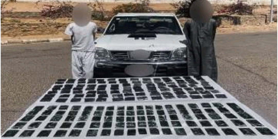 جانب من المضبوطات