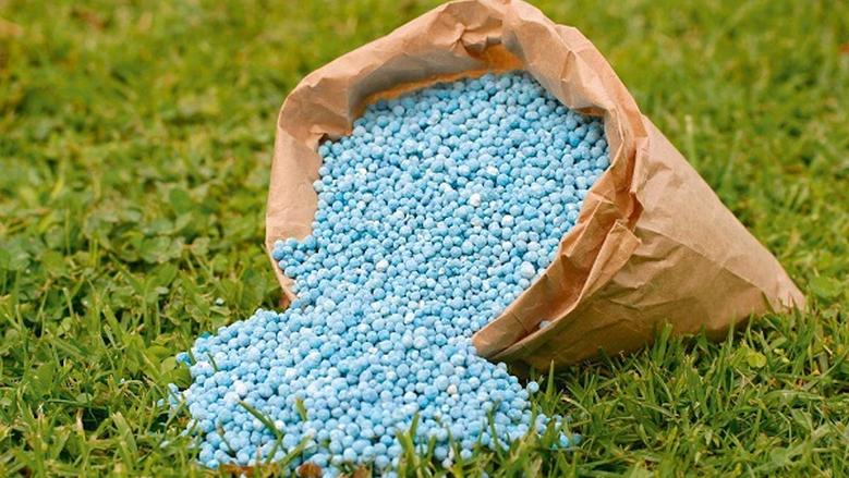 مصانع الأسمدة&nbsp;