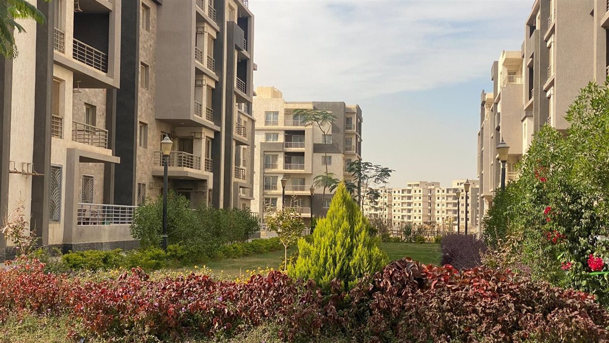 القاهرة الجديدة&nbsp;