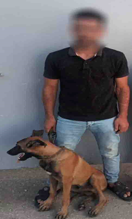 المتهم بدفع كلب تجاه شخص آخر بالقليوبية