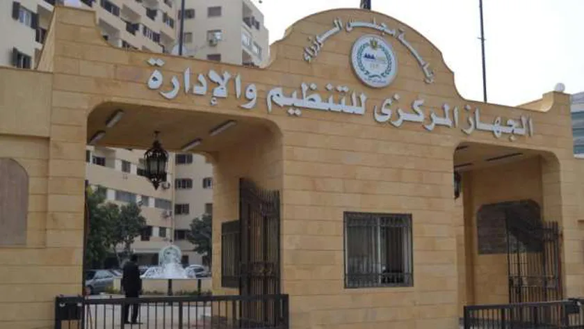 التنظيم والإدارة
