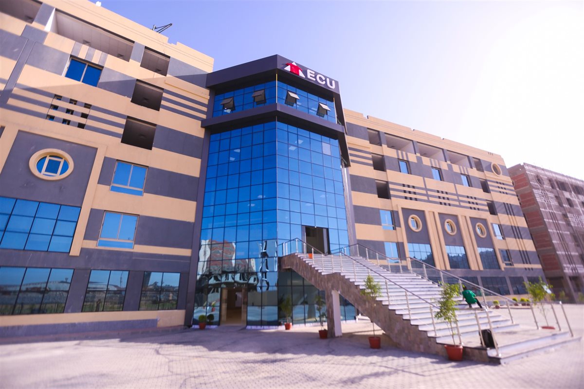 أرشيفية جامعة