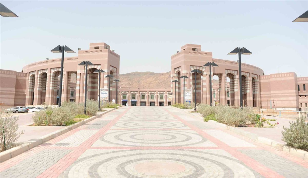 <strong>جامعات</strong>