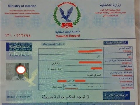 الفيش الجنائي