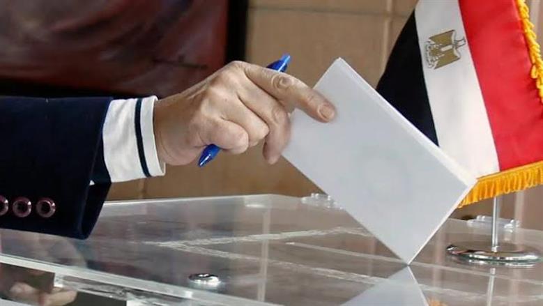 <strong>&nbsp;انتخابات مجلس الشيوخ 2025</strong>