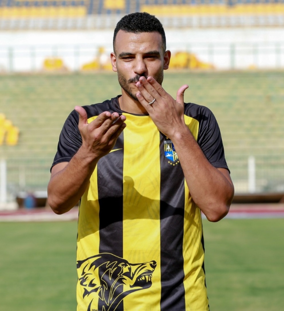 شكري نجيب