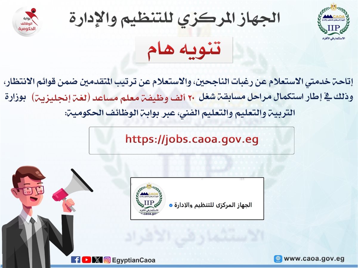 التنظيم والإدارة