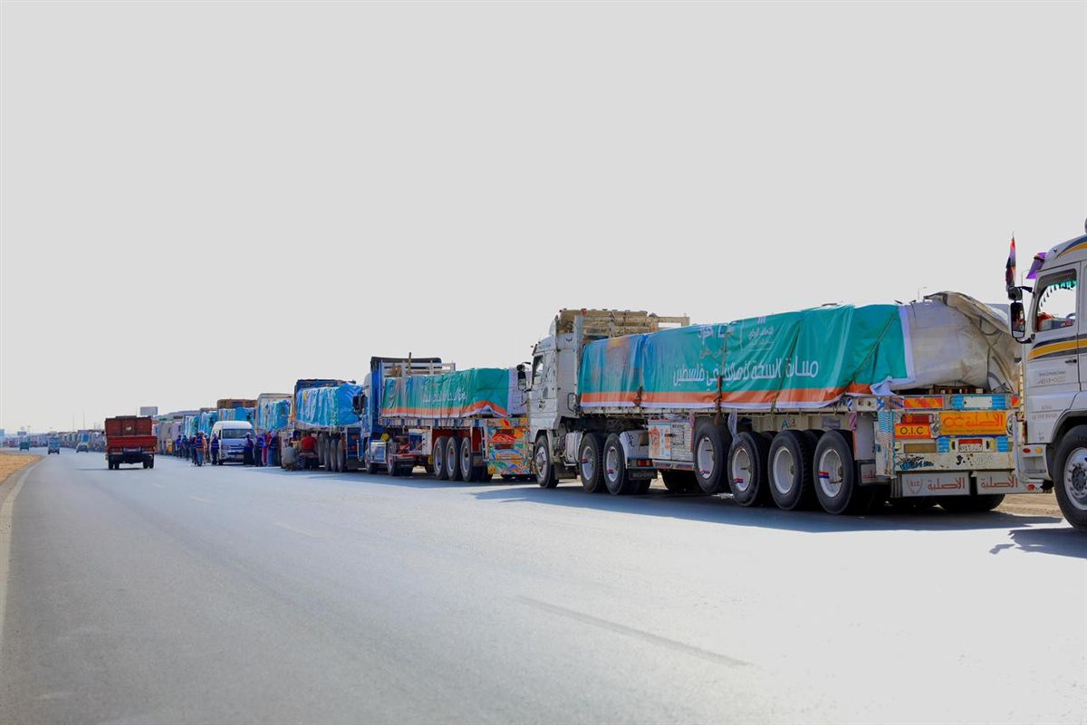 <strong>20 شاحنة مساعدات إنسانية لقطاع غزة</strong>