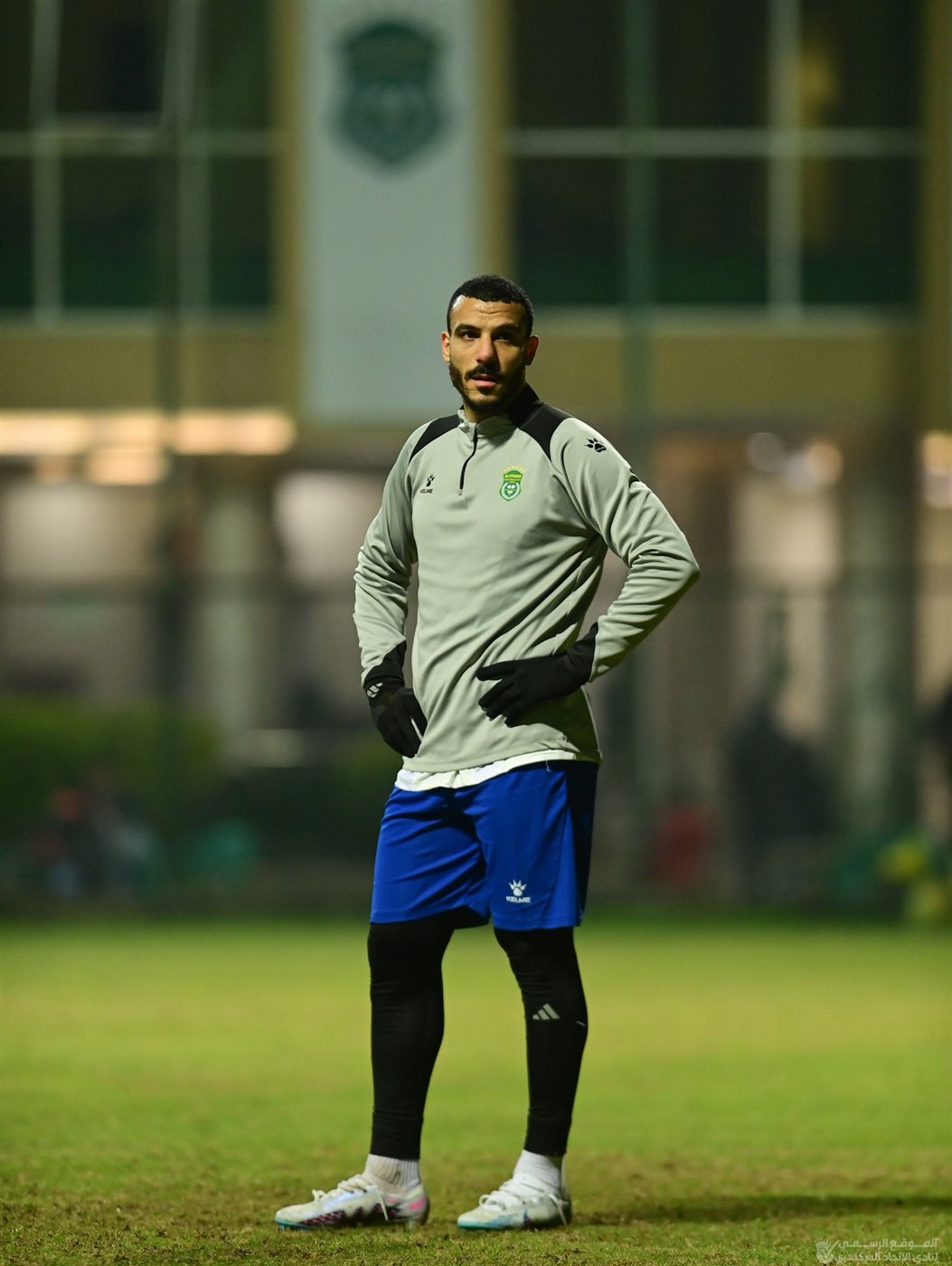 شكري نجيب