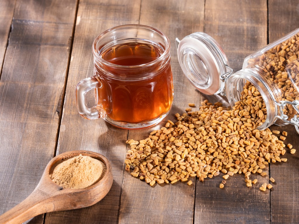 الحلبة