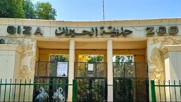 <strong>مفاجآت بانتظار الزوار مع النسخة المطورة لحديقة الحيوان الجيزة</strong>