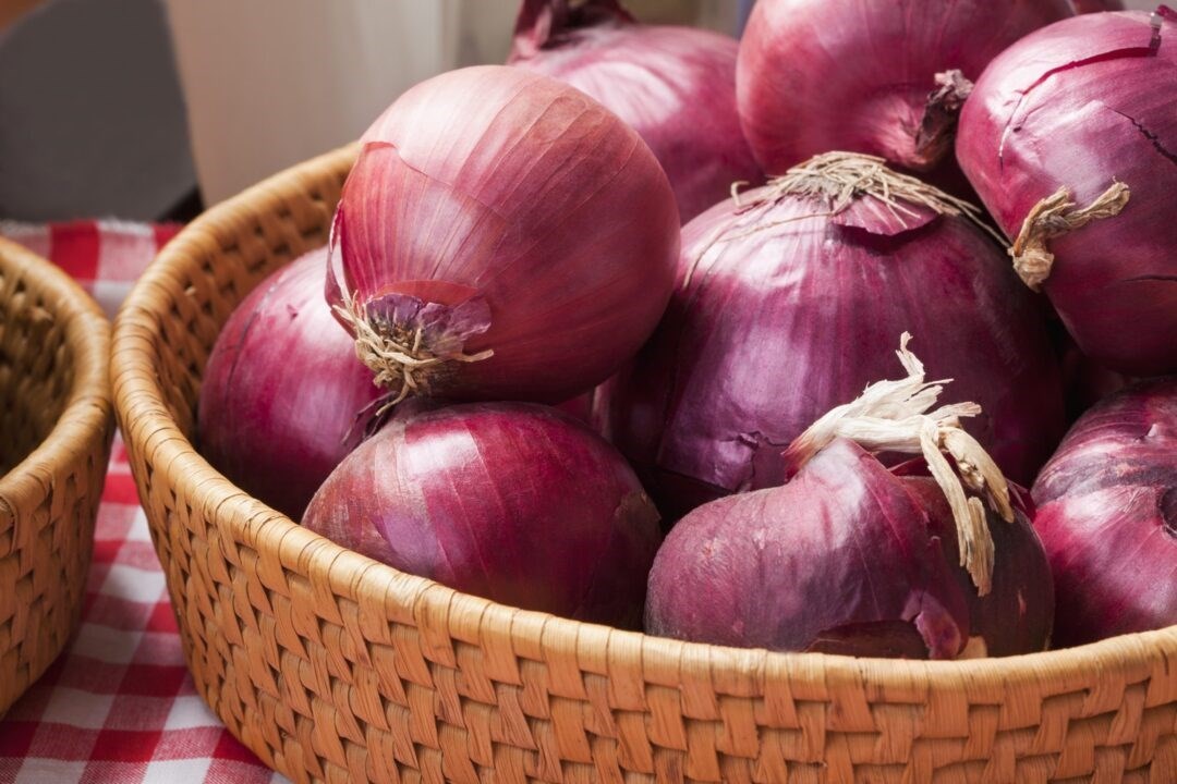 تفسير رؤية البصل في المنام&nbsp;