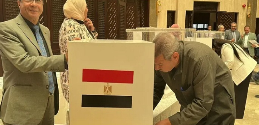 <strong>التصويت بجولة الإعادة بانتخابات الشيوخ 2025</strong>