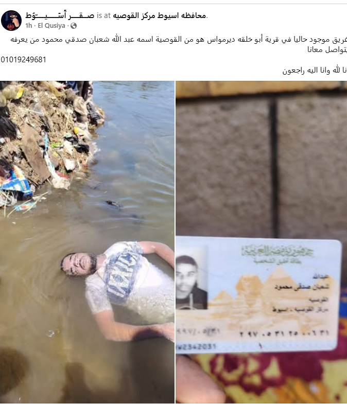 المنشور&nbsp;