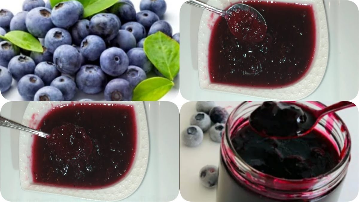 مربي التوت
