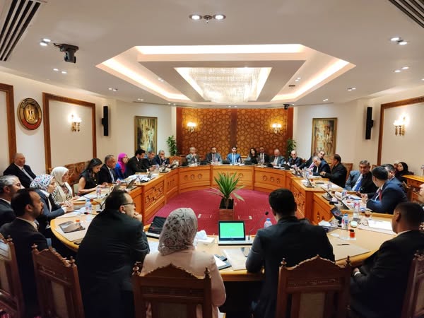 <strong>انعقاد اللجنة الدائمة لمتابعة العلاقات المصرية الإفريقية</strong>
