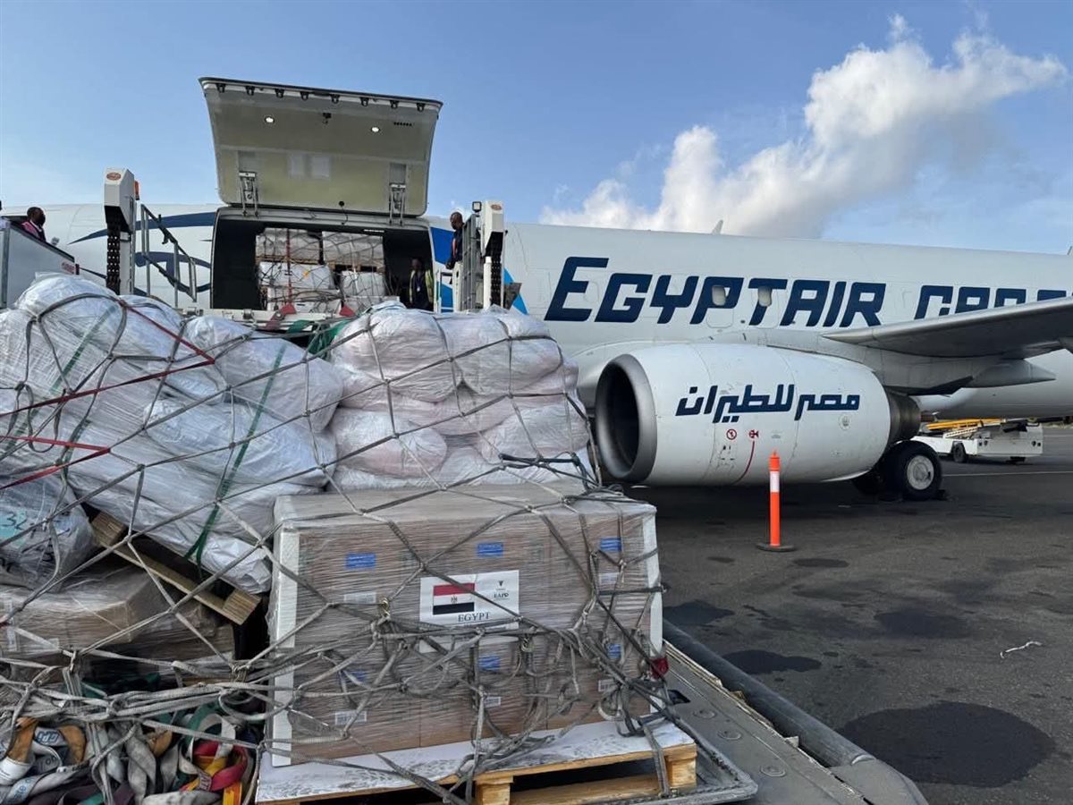 <strong>مصر ترسل شحنة مستلزمات طبية إلى إريتريا</strong>