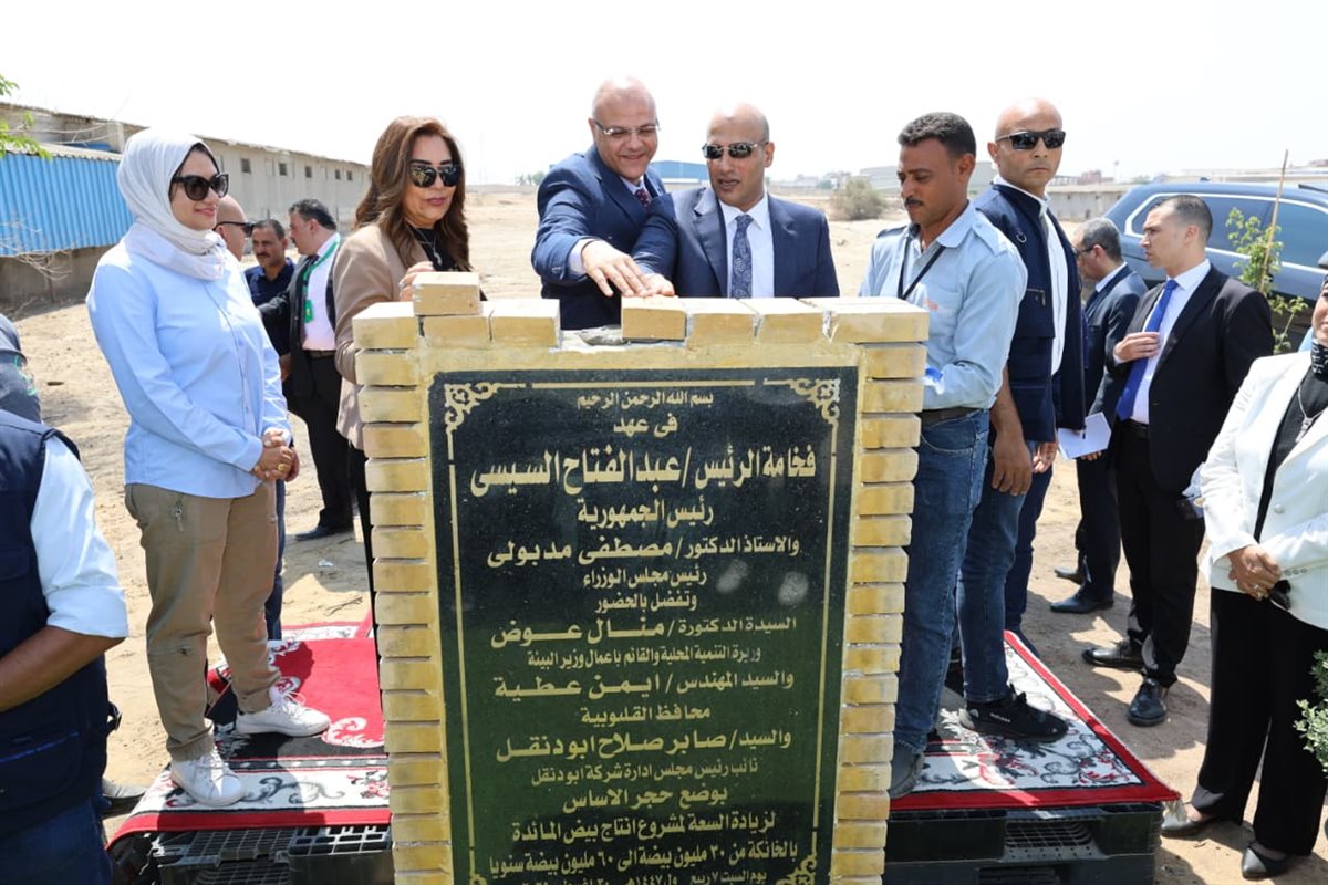 <strong>&nbsp;وزيرة التنمية المحلية&nbsp;</strong>