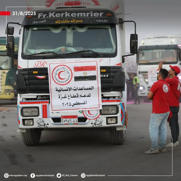 <strong>الهلال الأحمر المصري يدفع بنحو 3200 طن مساعدات إنسانية إلى غزة &nbsp;</strong>
