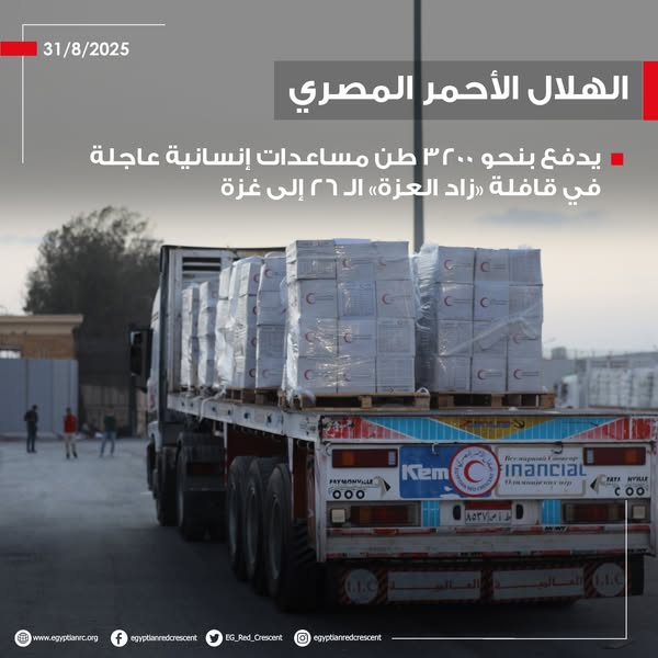 <strong>الهلال الأحمر المصري يدفع بنحو 3200 طن مساعدات إنسانية إلى غزة &nbsp;</strong>