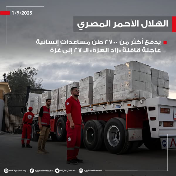 <strong>الدفع بأكثر من 2700 طن مساعدات إنسانية لقطاع غزة اليوم</strong>