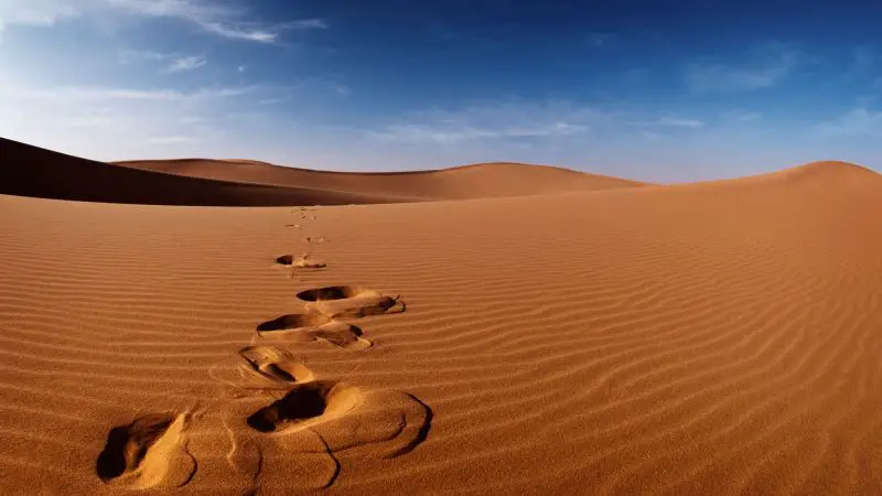 رؤية المشي على الرمل&nbsp;