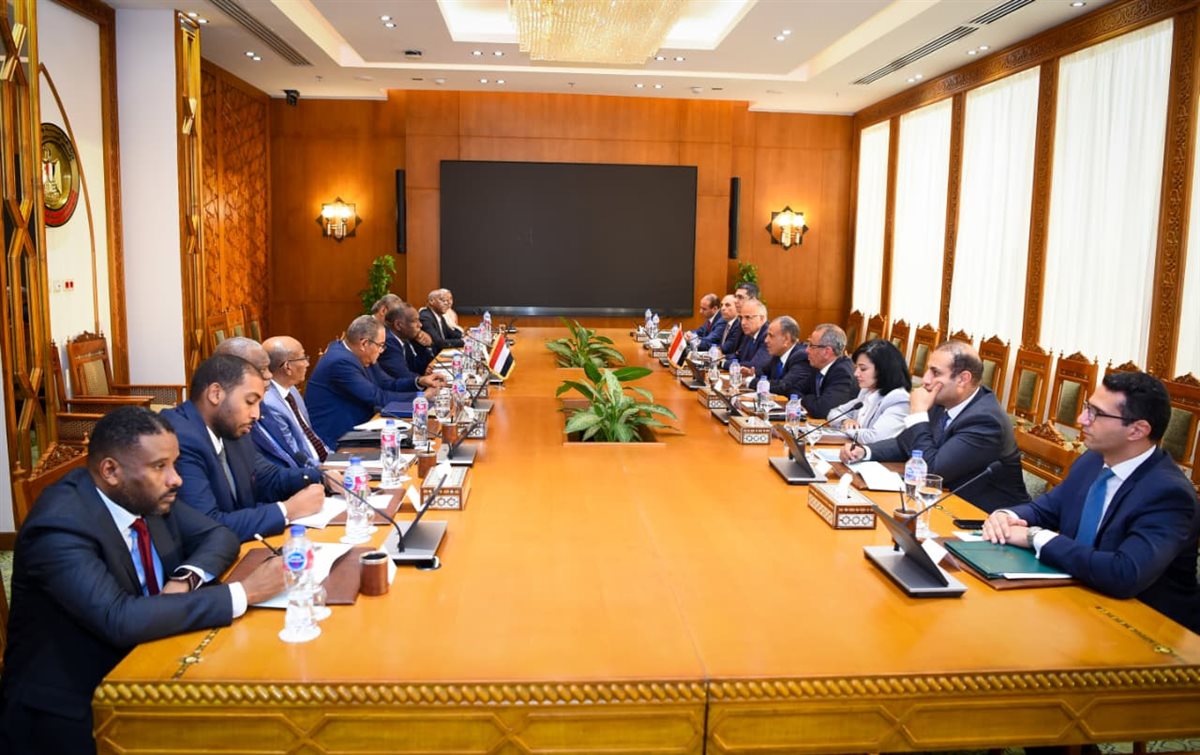 مصر والسودان يؤكدان وحدة الموقف بشأن مياه النيل&nbsp;
