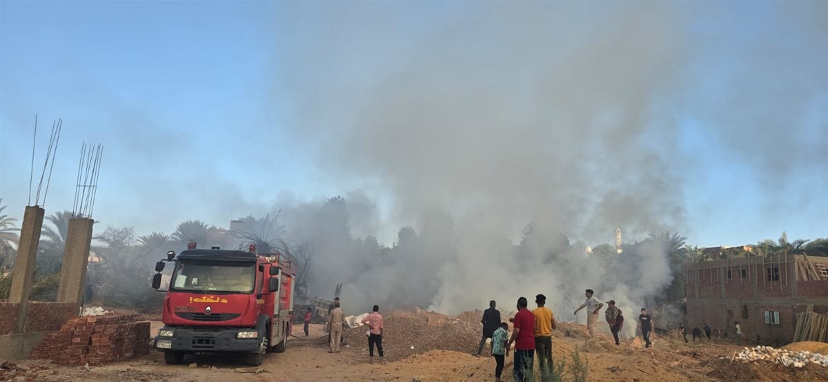 اندلاع حريق هائل في مزرعة نخيل بالوادي الجديد والحماية المدنية تسيطر&nbsp;