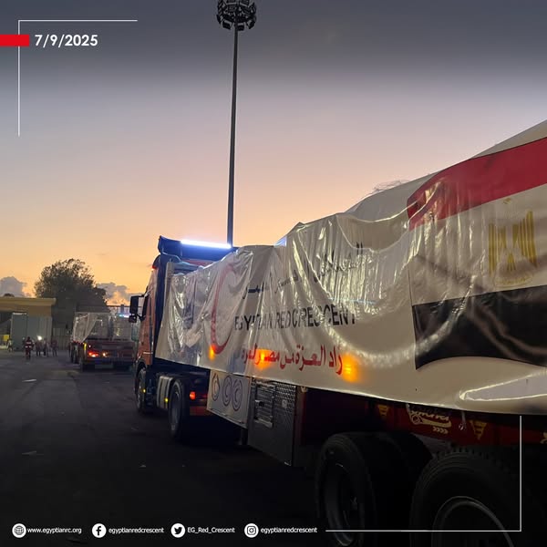 <strong>الهلال الأحمر المصري يدفع بـ 2500 طن مساعدات لغزة اليوم</strong>