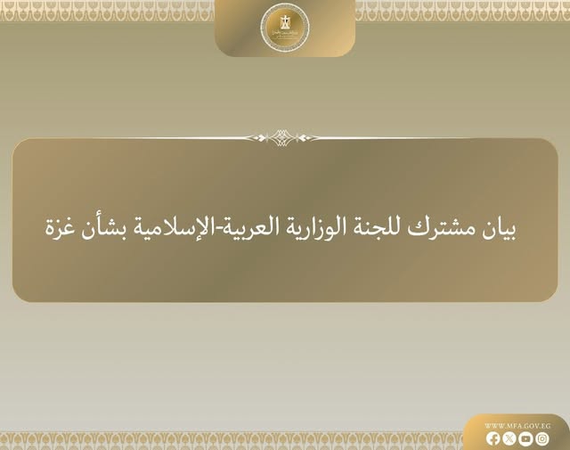 <strong>اللجنة الوزارية بشأن غزة ترفض تهجير الفلسطينيين من أراضيهم</strong>