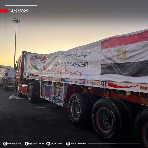 <strong>أكثر من 3200 طن مساعدات ضمن قافلة «زاد العزة» الـ 36 لغزة</strong>