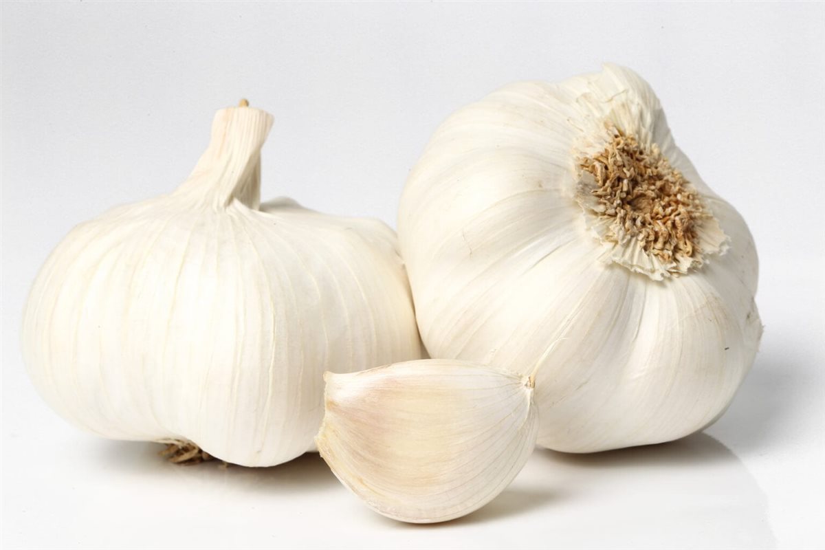تفسير رؤية الثوم في المنام لـ ابن سيرين