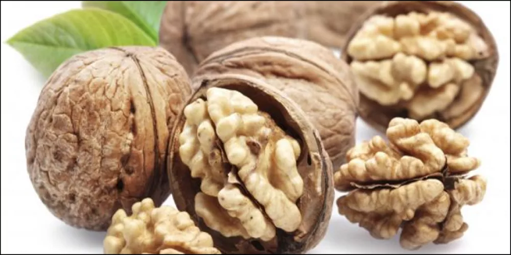 فوائد تناول عين الجمل&nbsp;