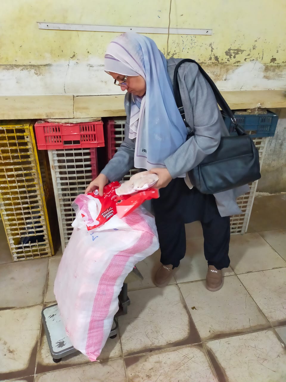 <strong>مخالفات</strong>