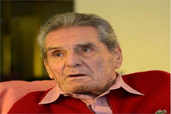 عادل هيكل