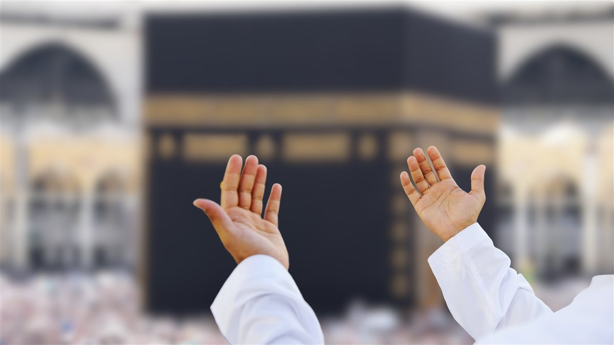 أسعار الحج