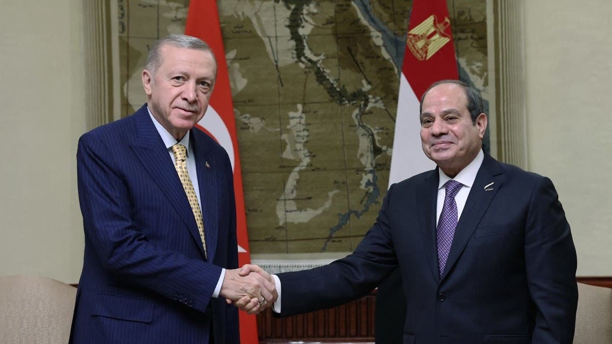 الرئيس السيسي ونظيره التركي&nbsp;
