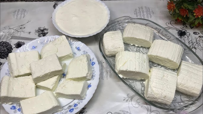 الجبن القريش