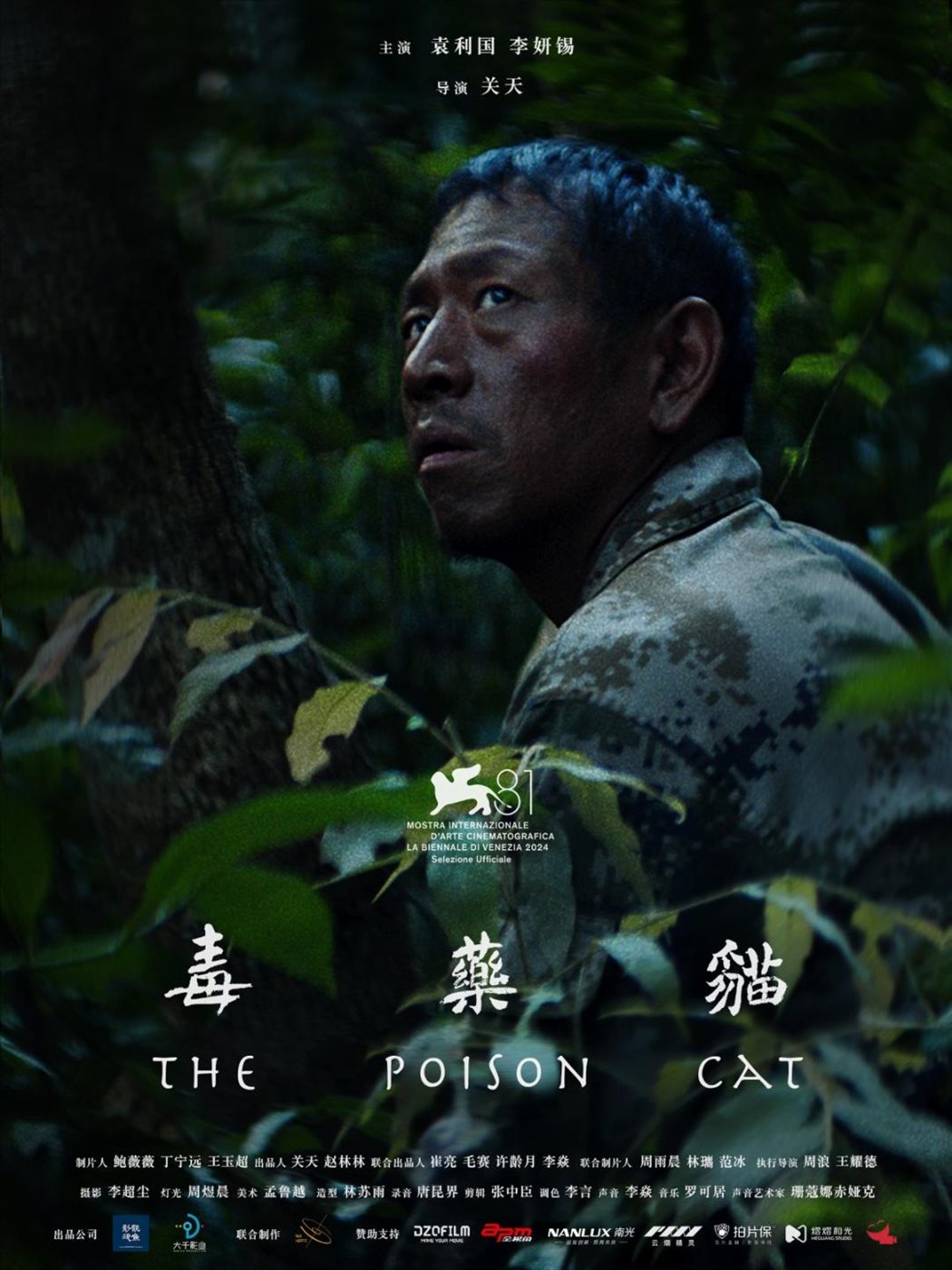 <strong>الفيلم الصيني