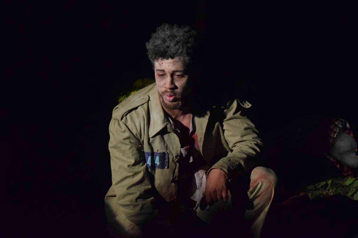 <strong>العرض المسرحي 