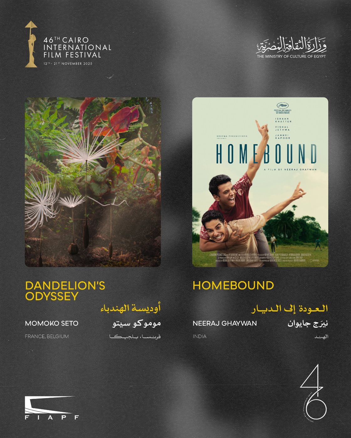 <strong>أفلام العروض الخاصة</strong>