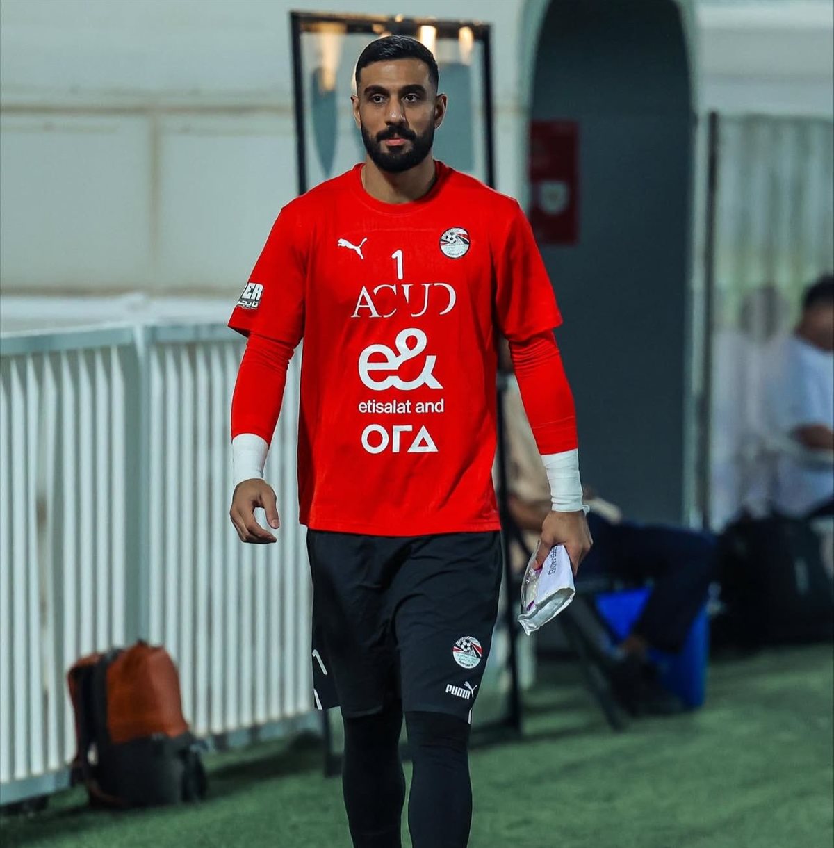 أحمد الشناوي