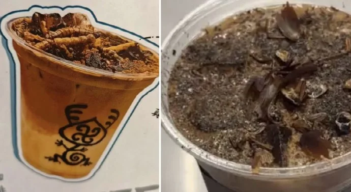 قهوة بالصراصير